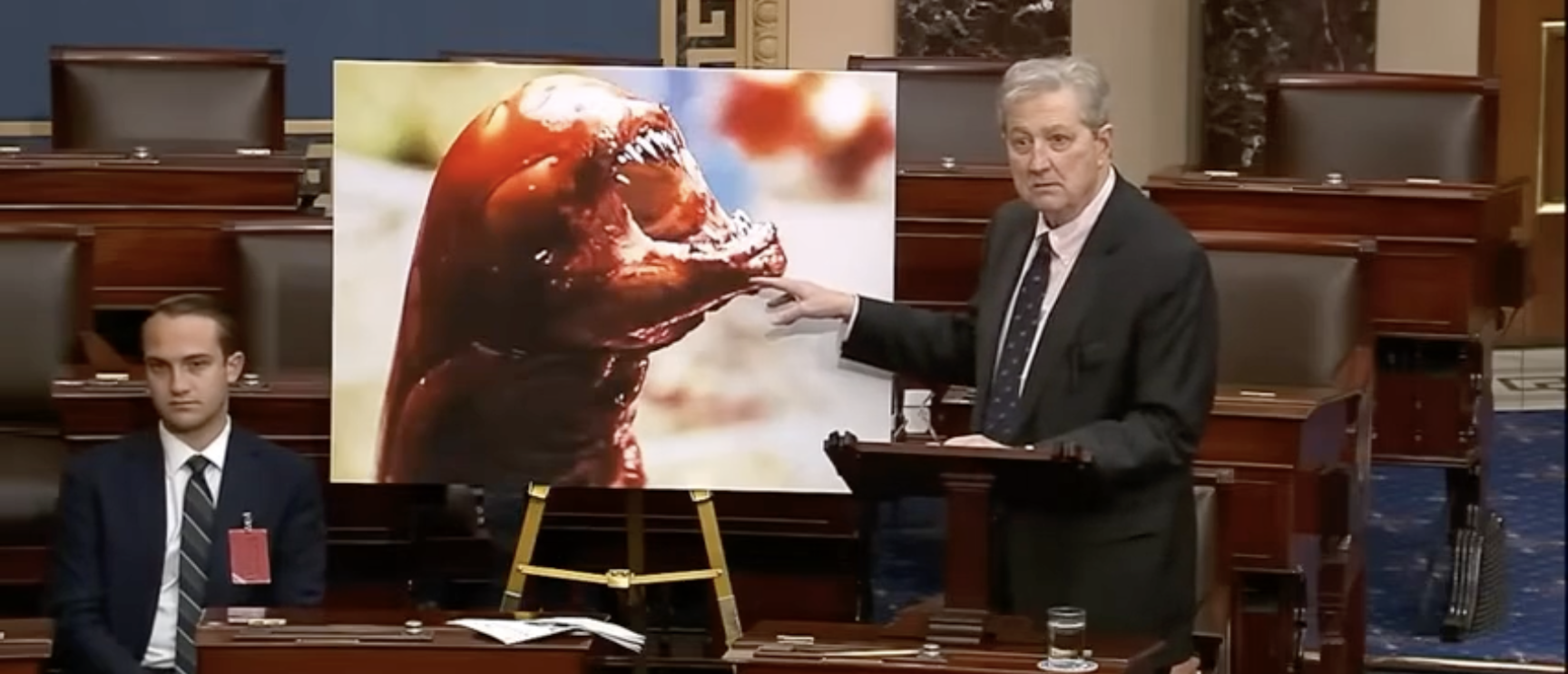 John Kennedy Sounds Alarm About Radioactive Shrimp That ‘Could Turn You Into The Alien’